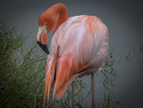 Wetlands Tour Photo